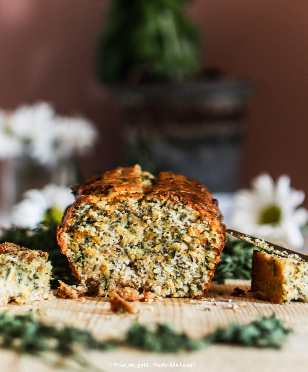 Marie-Alix Lecerf-369